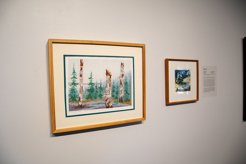 The Idea of North Permanent collection exhibition at the Mann Art Gallery, Rigmor Clarke's paintings pictured