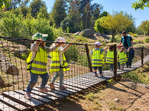 Niños cruzando un puente de cuerda.png