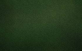 green-wallpaper-23.jpg