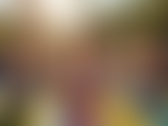 Stay Active: Structured Fitness Programs for Everyone