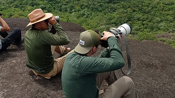 Birding Tours Colombia