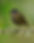 shutterstock_2201625523(1)_edited.jpg
