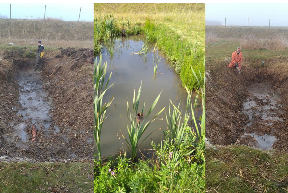 The work in the wetlands has started. Here you see Stefan Weisner and Josefin Nilsson restoring the overgrown wetlands to a standardized volume. Pictures taken on the 27th of November 2020 (c) Antonia Liess.