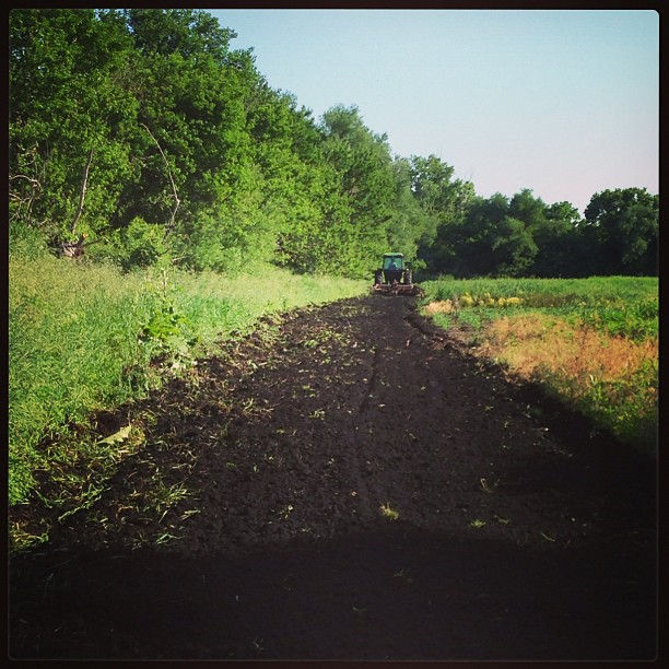 best muck in the world