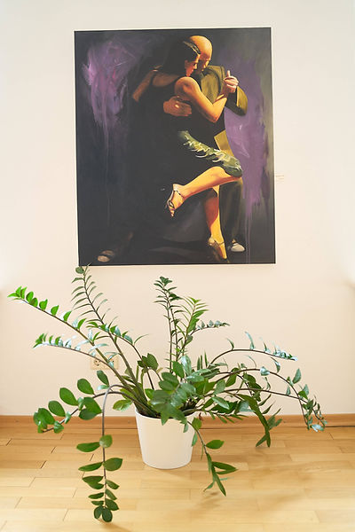 Propriozeptive Neuromuskuläre Fazilitation PNF in Baden-Baden