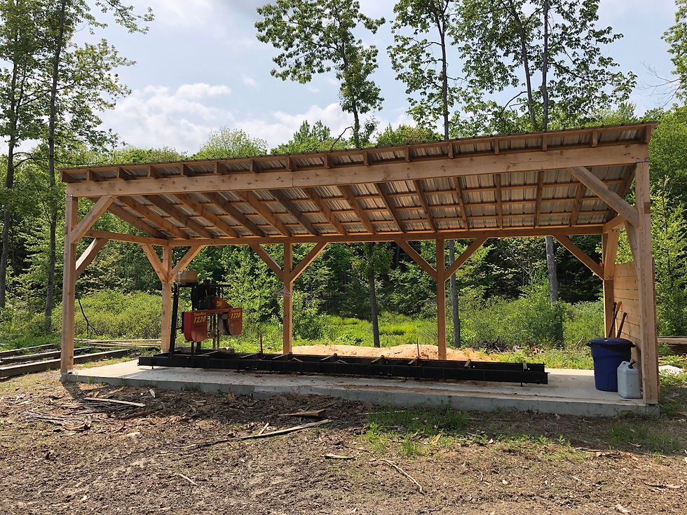 Rough Cut Hemlock