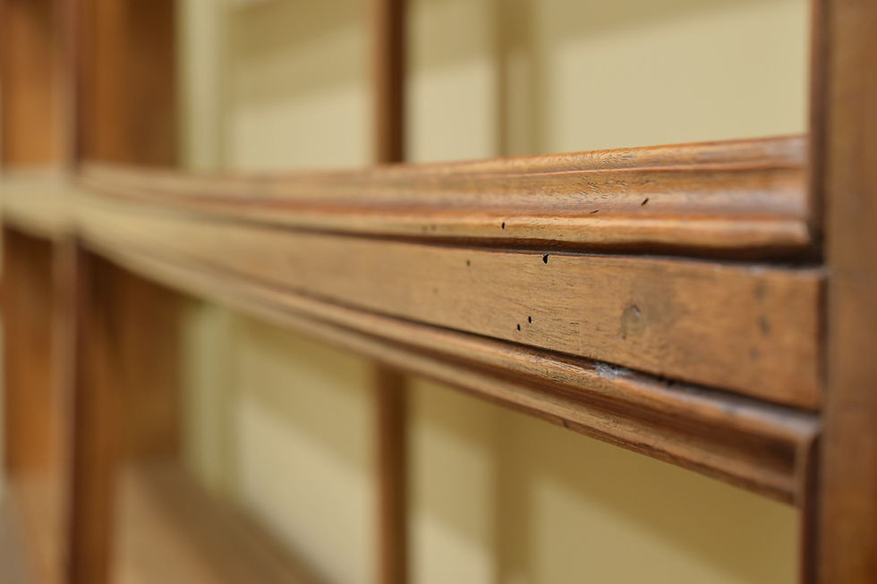Miniatura: Libreria in noce