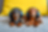 AdobeStock_849494876.jpeg
