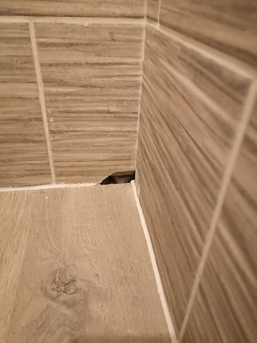 image00026.jpeg