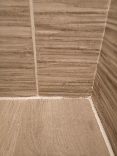 image00027.jpeg