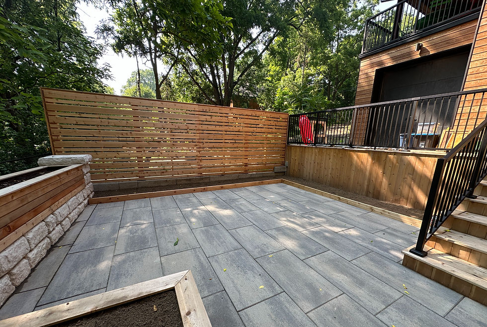 Backyard patio and privacy screen.
