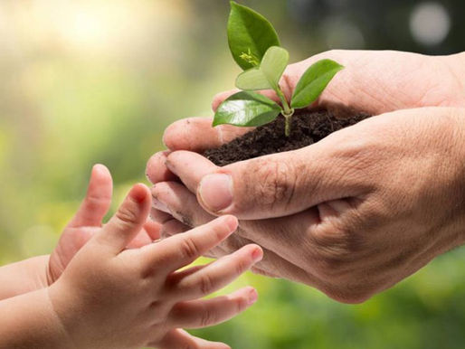 Legacy Planning is More Than Estate Planning