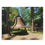 Thumbnail: The Bell Puzzle