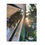 Thumbnail: Picnic Tables Puzzle