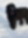 EF6C11B7-E6CE-42BD-A3C3-75B64C3FC256.jpeg