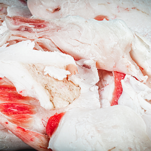 ANIMAL FAT IS GOOD FOR YOU!