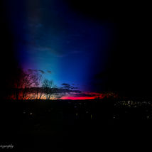 Frazer, Quatina-11.jpg