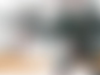 ■重装備偽仁宇頑駄無