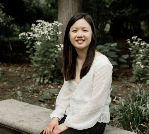 The No-Purchase 12 months