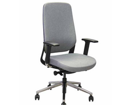 SILLA EJECUTIVA 01021