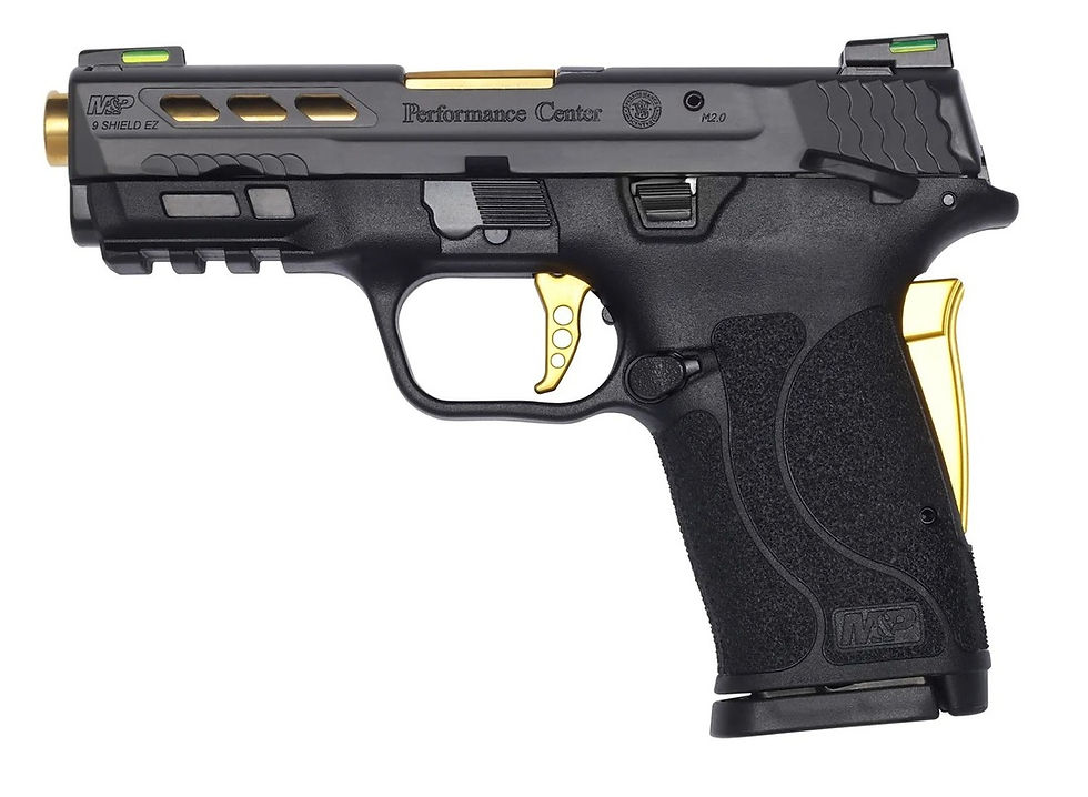 M&P9 2.0 SHDEZ PC GLD NTS