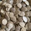 Thumbnail: Biscuits
