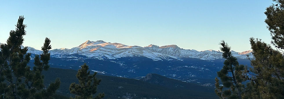mountain trees copy.jpg
