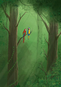 Illustratie papegaaien, vrij werk