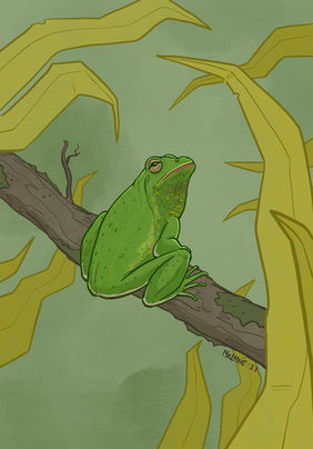 Untitled_Artwork 14.jpg