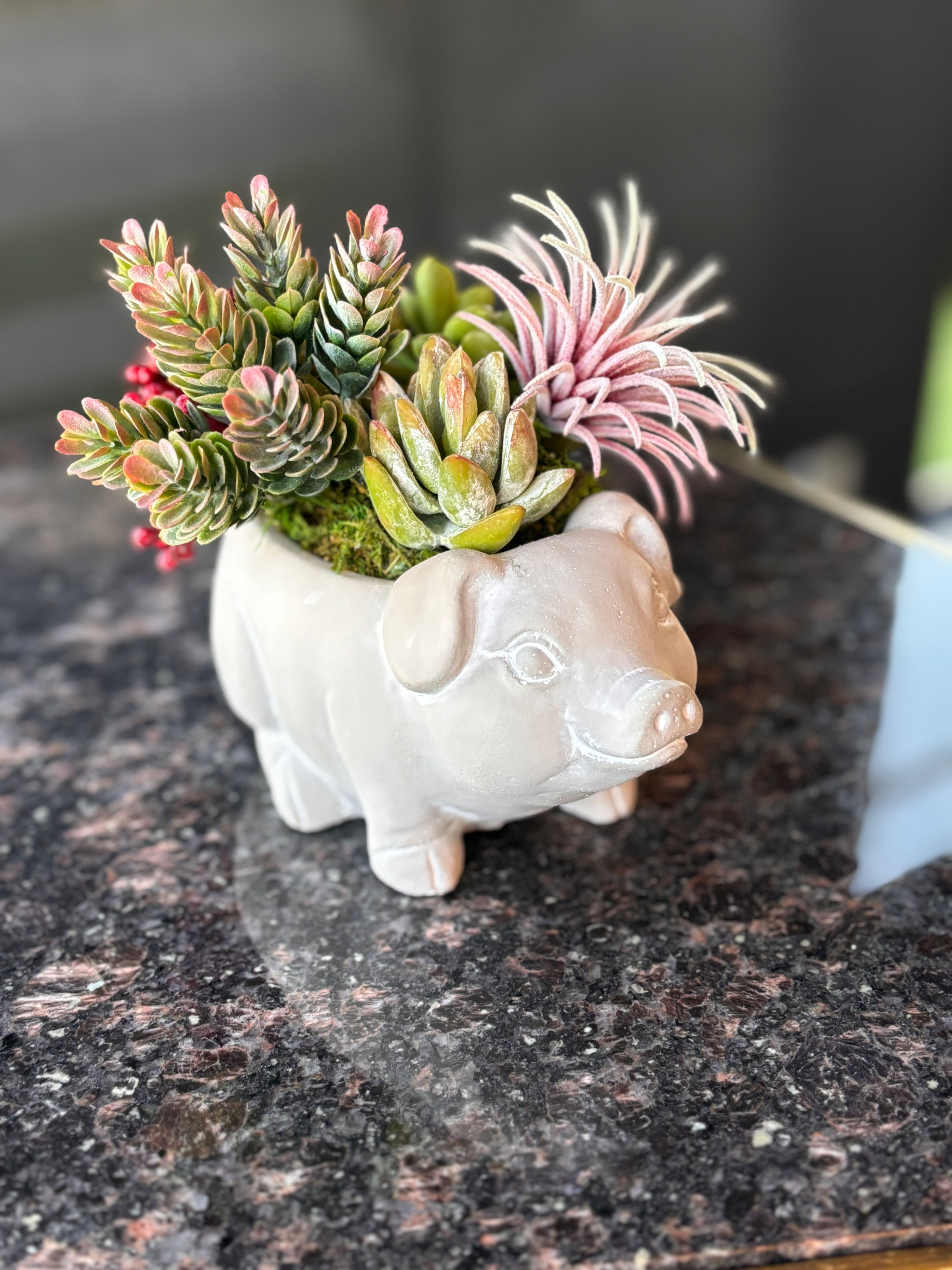 Botanical Boar Succulent Bouquet