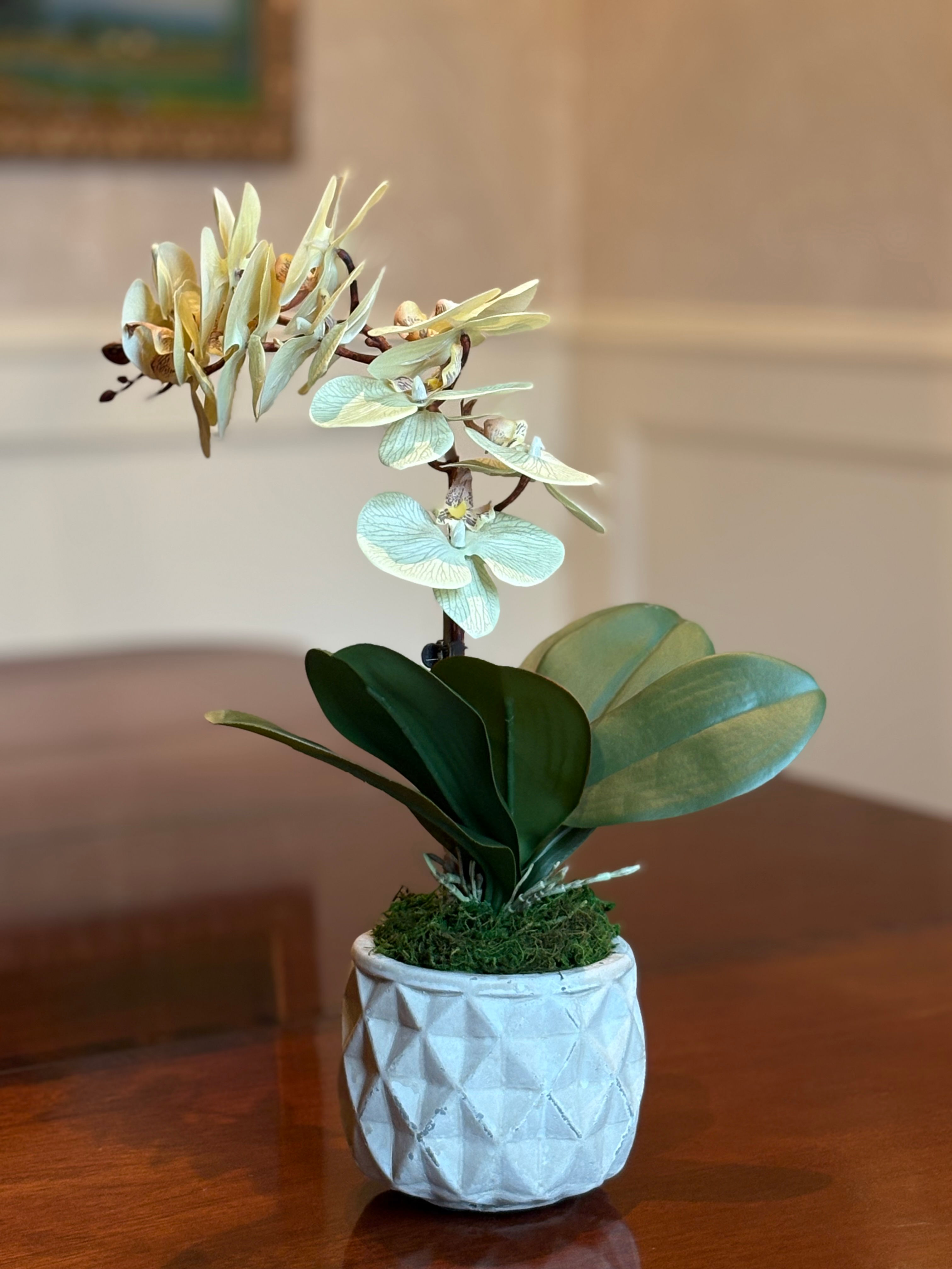 Happy Little Orchid Bouquet