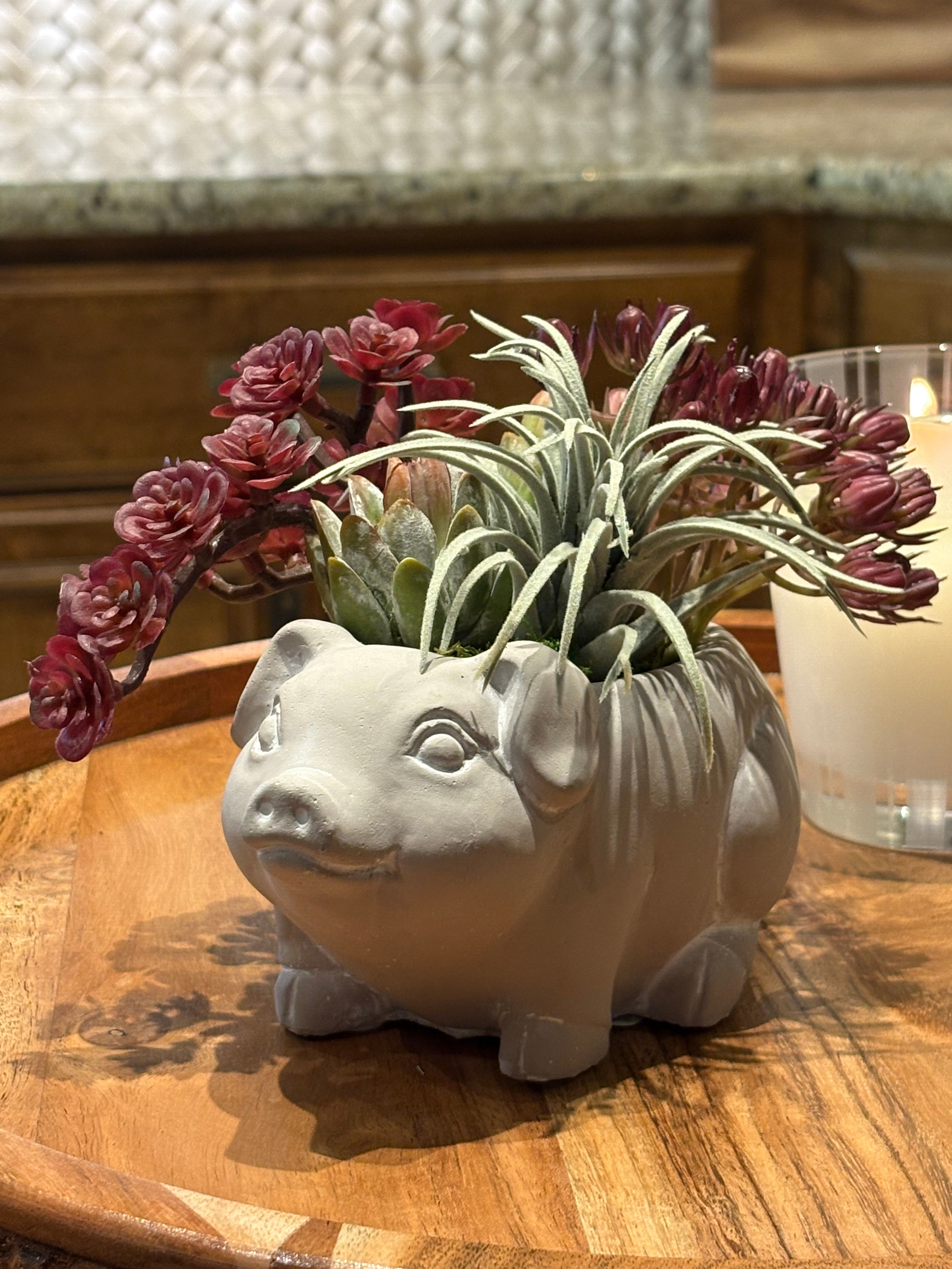 Potted Piglet Succulent Bouquet