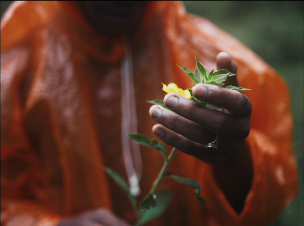 Screenshot 2022-06-26 at 3.07.48 PM