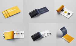 Brand guidelines_tds-01