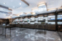 BG GE-1_preview(2).jpeg