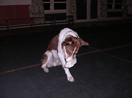 DSCN2334.JPG