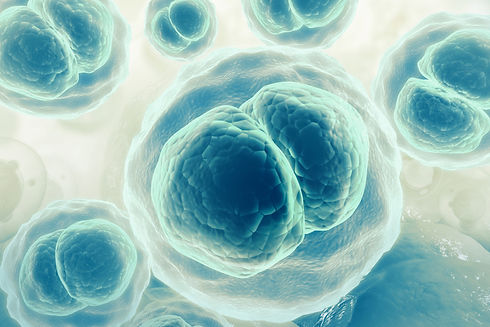 Cells-on-scientific-background-1090837544_727x485.jpeg