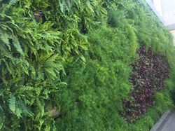 Clínica Individuale - Ibirapuera