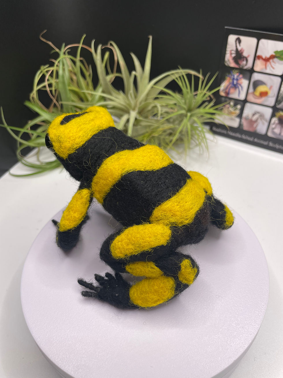 Thumbnail: Yellow-banded Poison Dart Frog