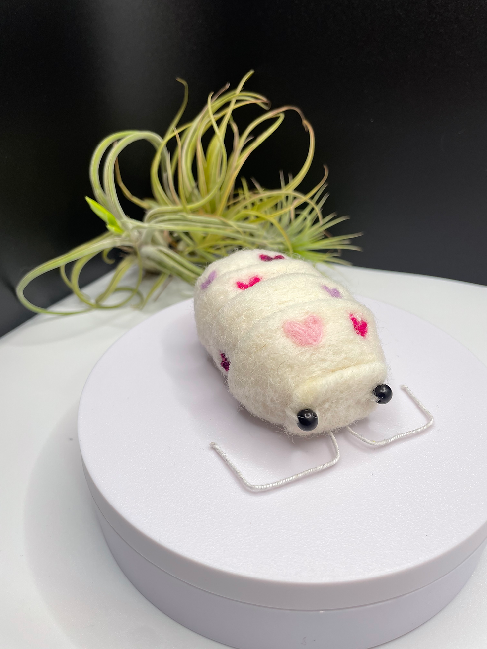 Thumbnail: Love Grubs! Valentines Bug Gift