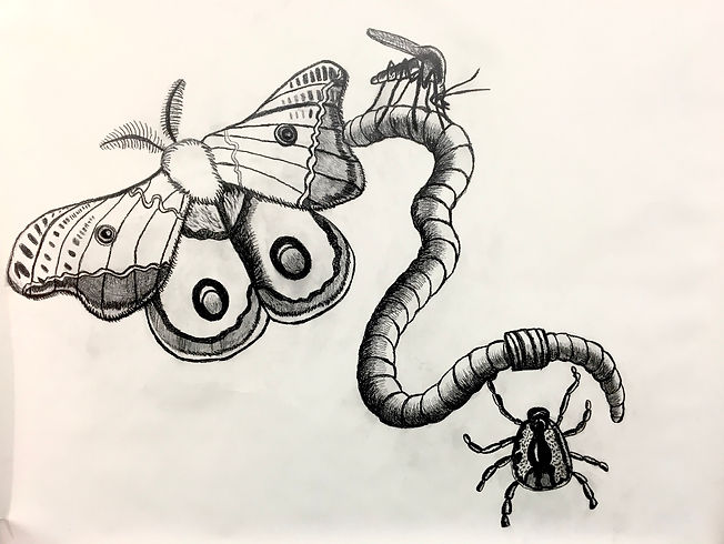 Hungry Bugz.jpg