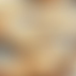 carrot shaped cheesy bsicuits!