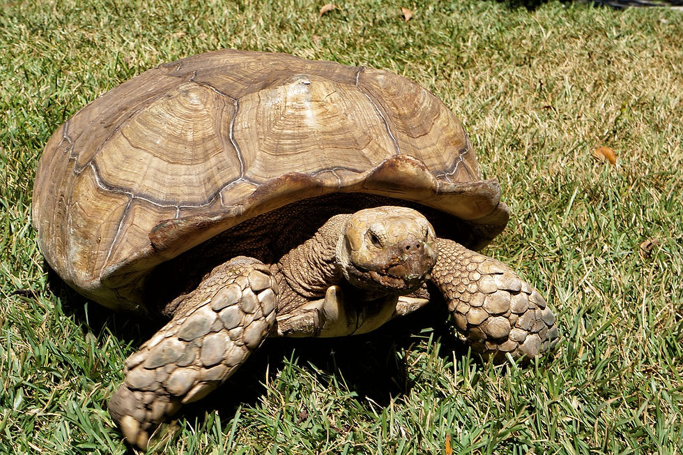 Highlights of Ecuador & Galapagos