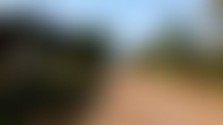 Bolivia seen through Western Eyes