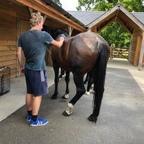 jah-grooming-horse.jpeg