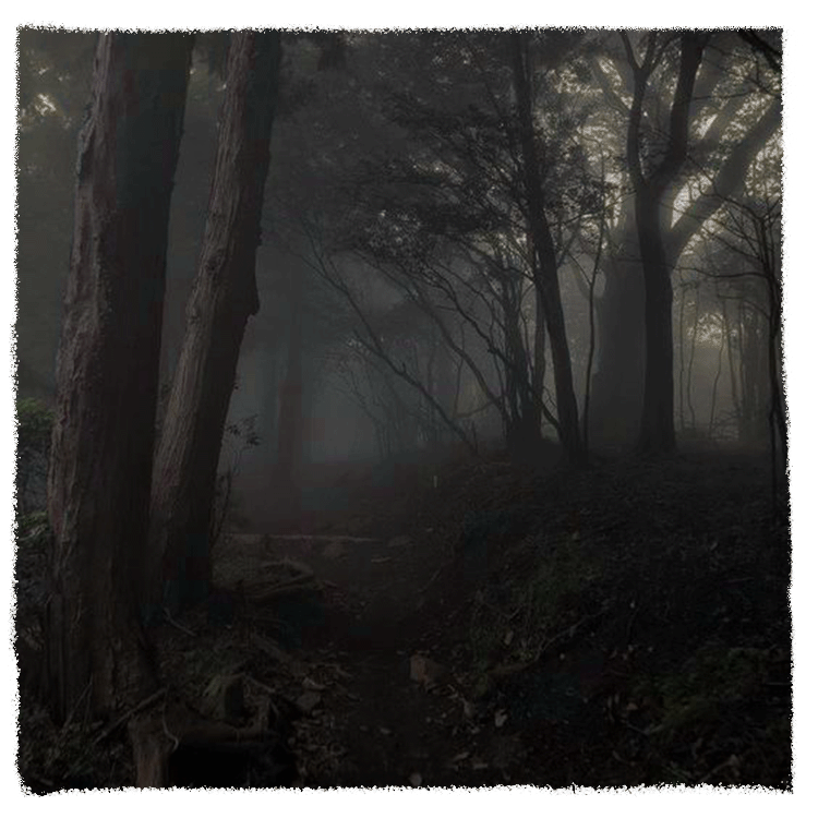 woods.gif