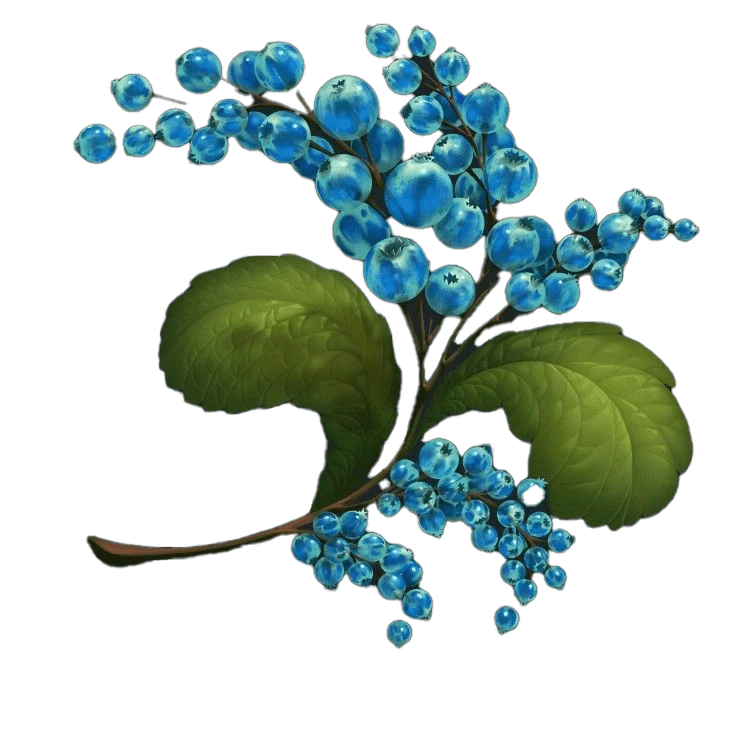 Wraith Berry.gif