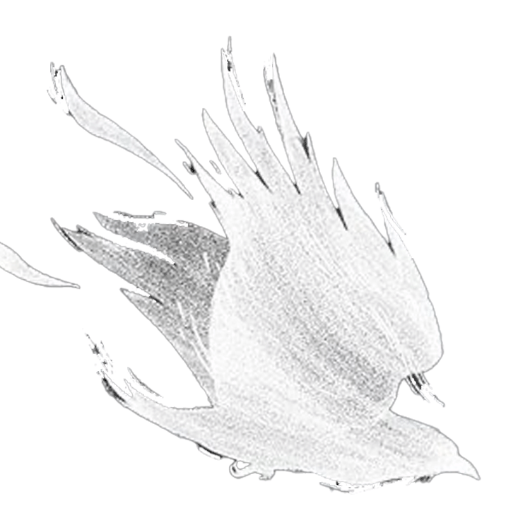 Untitled-7.gif