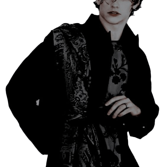 cardan.gif