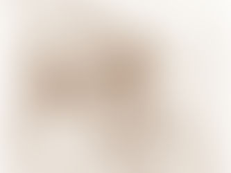 Janet Livingston Montgomery